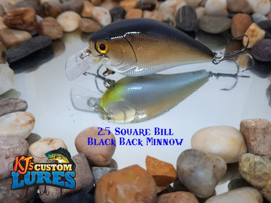 2.5 Squarebill Crankbait